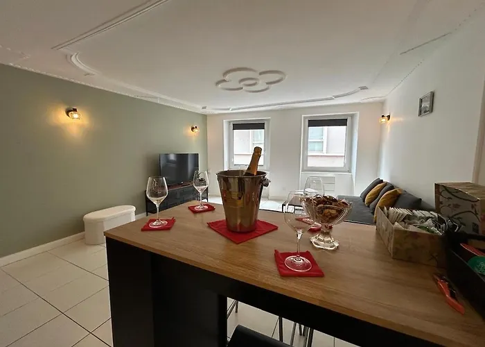 Appartement Mh Habitat Au Cœur Du Centre Mulhouse